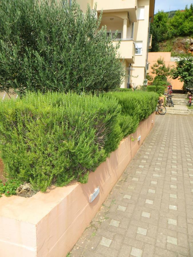 Apartman Mario Cres Exteriér fotografie